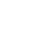 Bayer Bayer